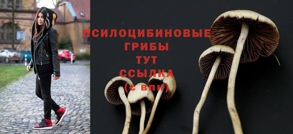 первитин Няндома