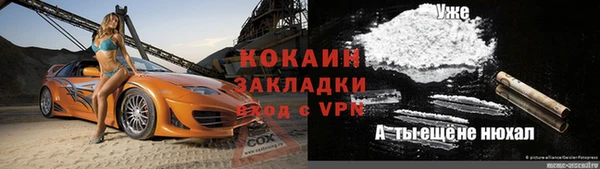шишки Алексеевка