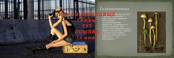 первитин Няндома