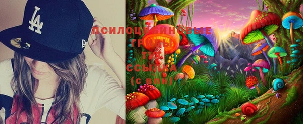 шишки Алексеевка
